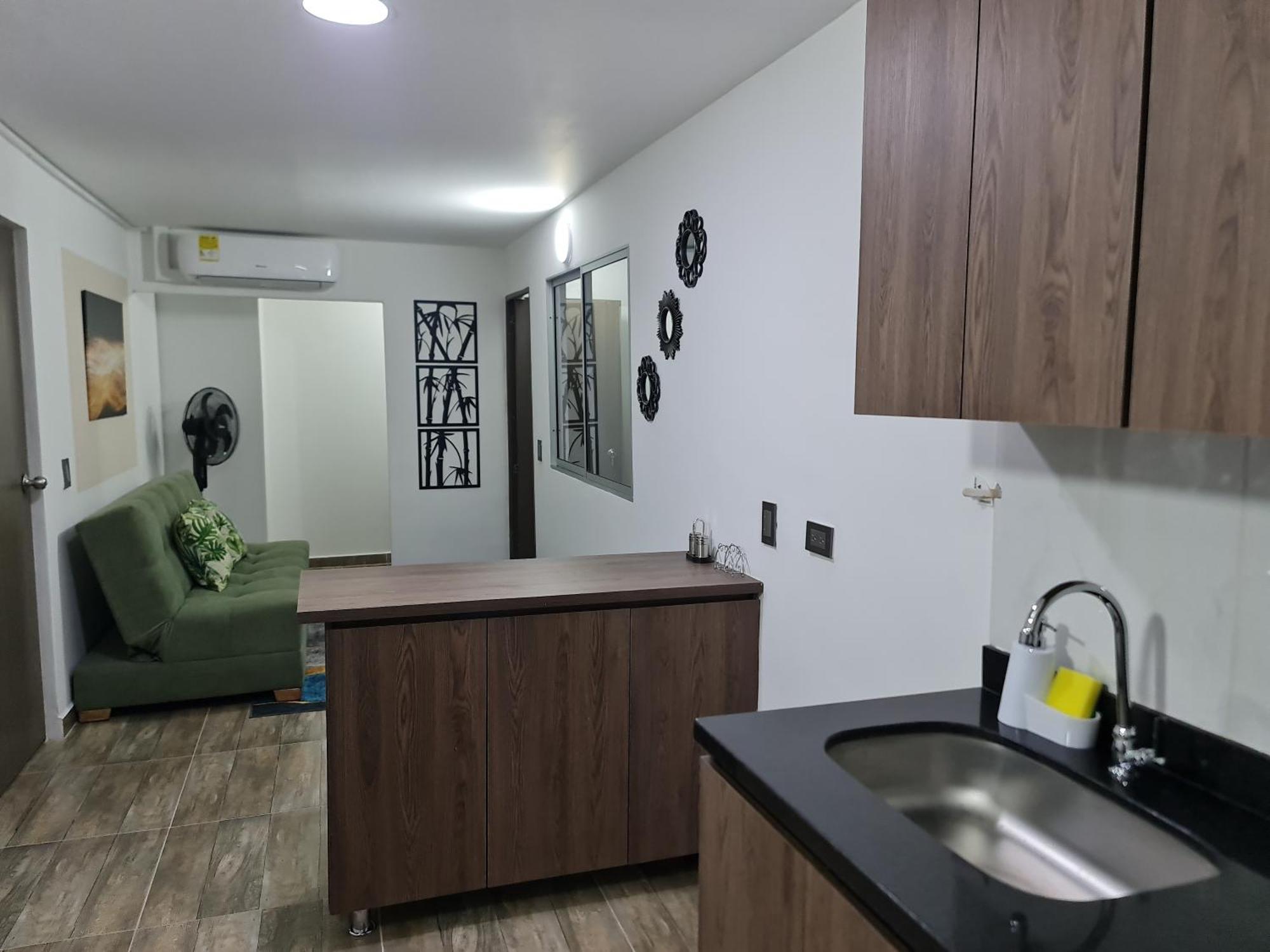 Rg33 Apartasuites *