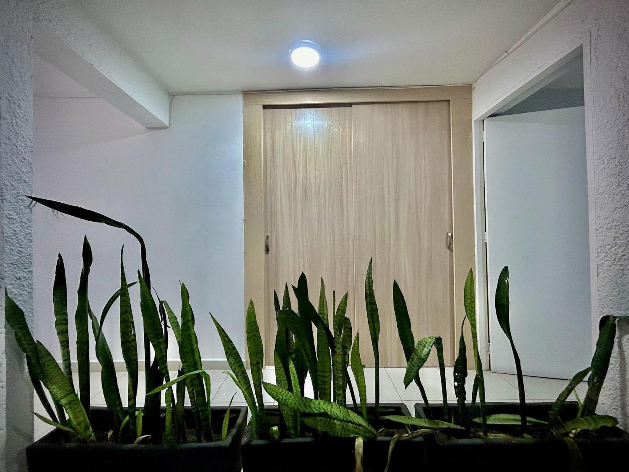 Apartamento Y Loft Laureles