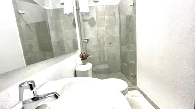 Loft Entero Full Dotado, 4 Personas Apartamento