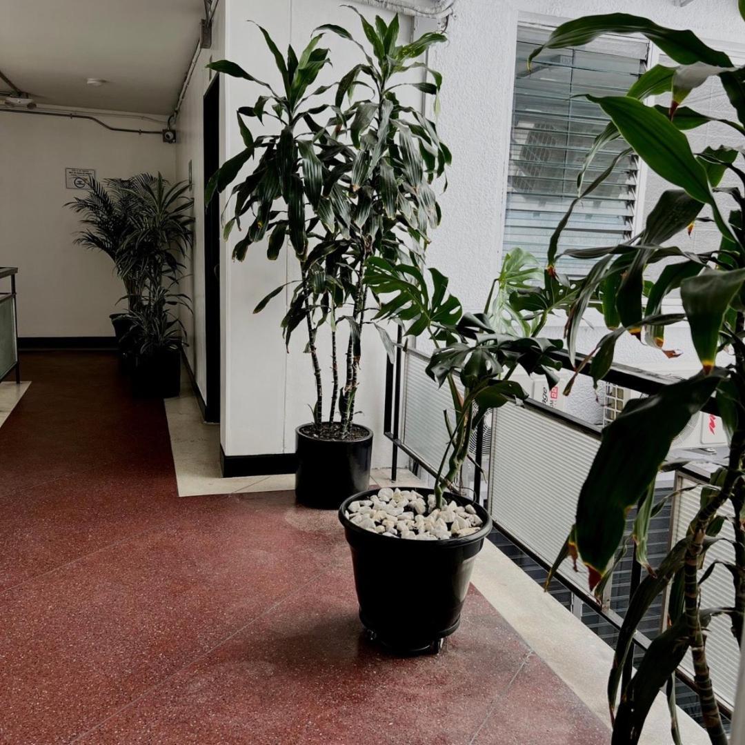Nueva Comfort 3* Medellín