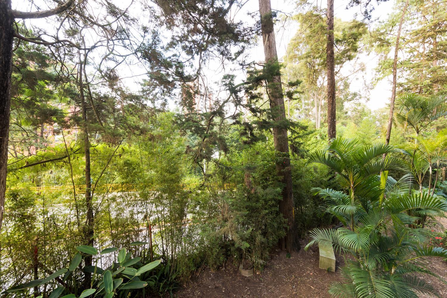 Hotel Foresta Medellín