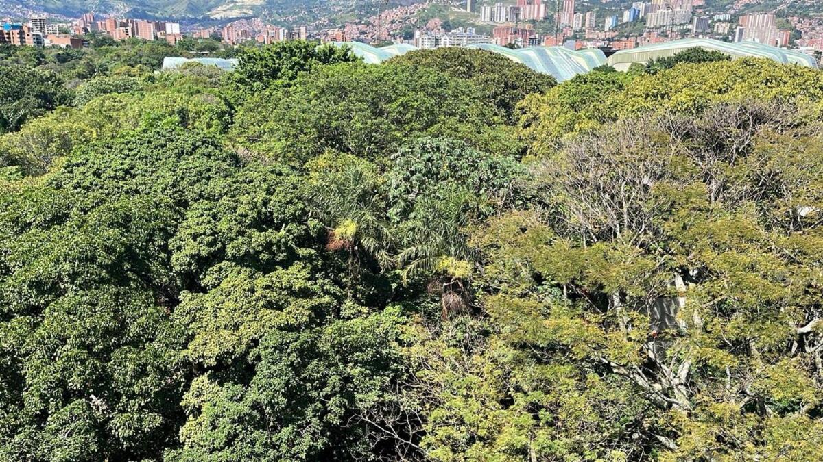 Apartamento Luxurious In Laureles Estadio *