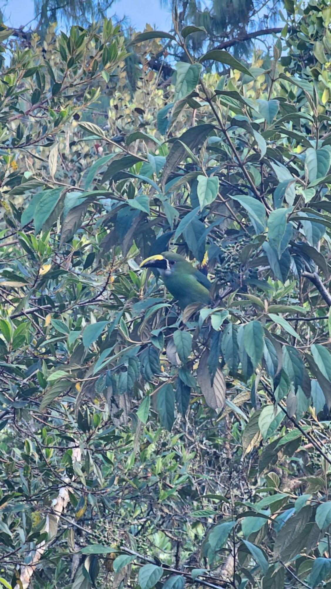 Privada En El Hogar Del Alma * Medellín