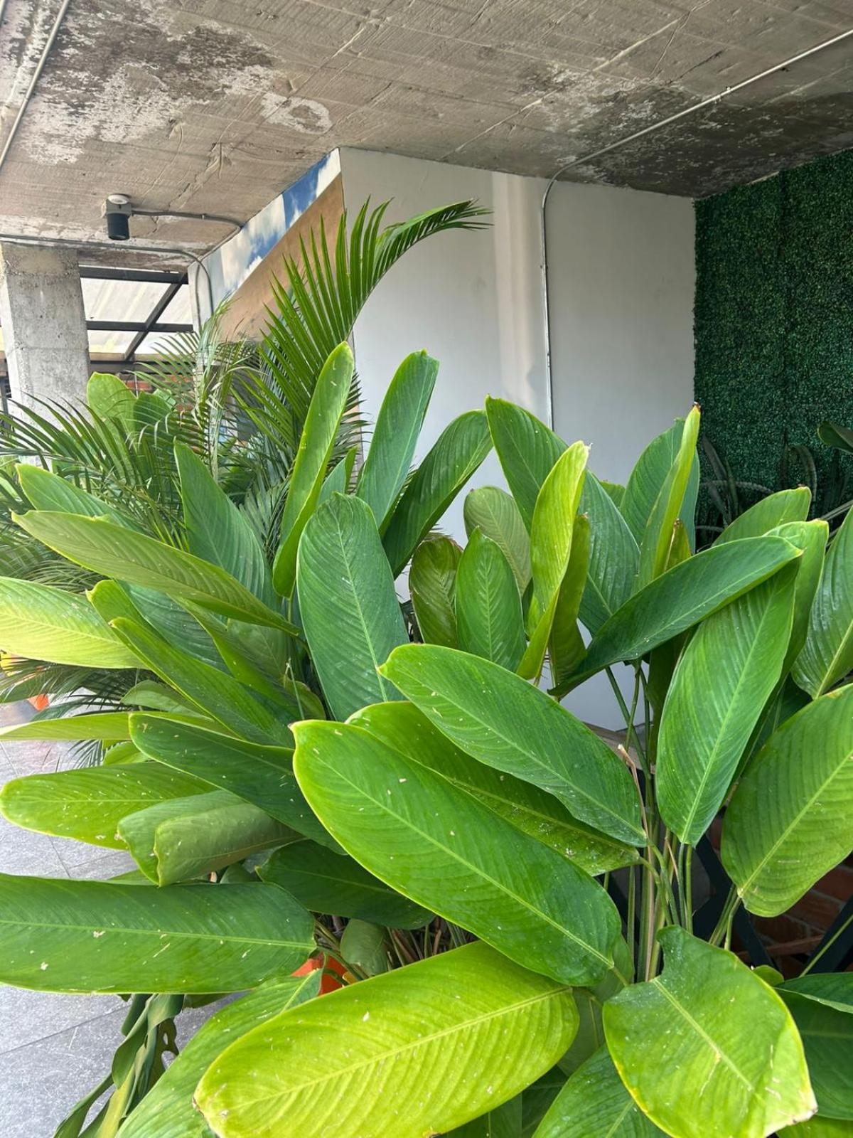 App Mde 3* Medellín