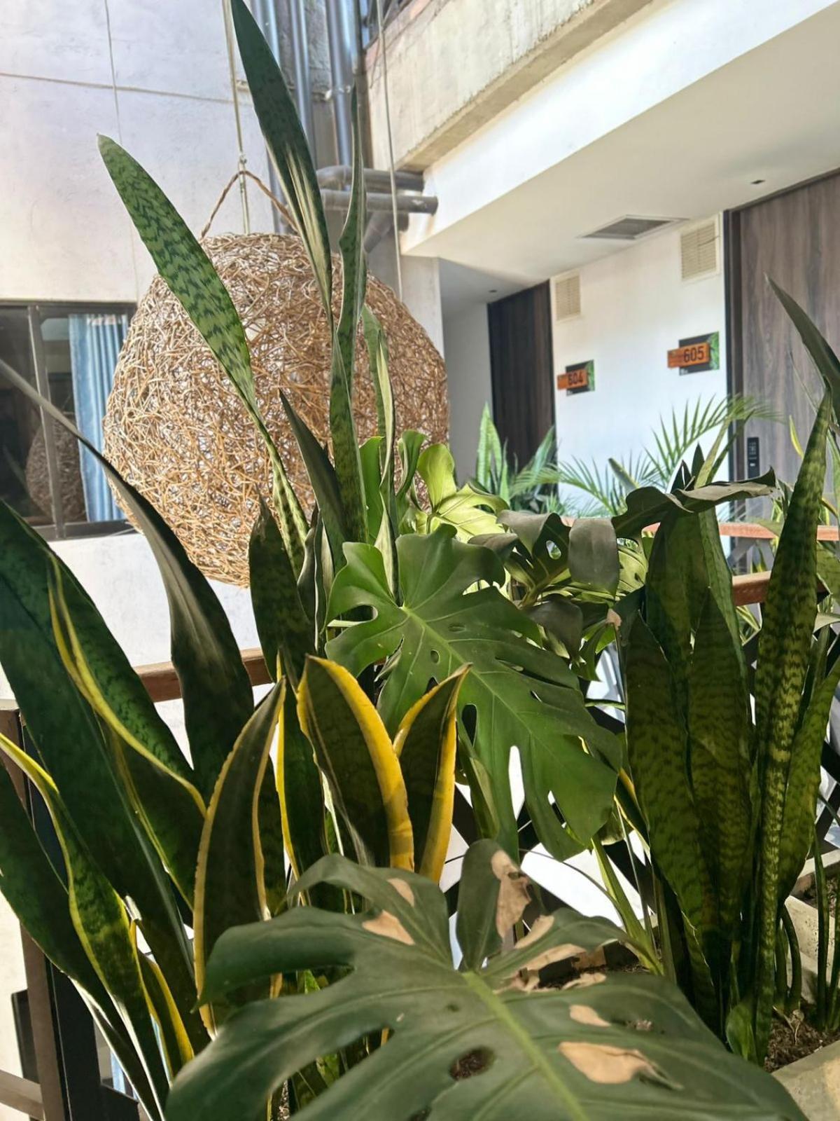 App Mde Hotel 3*