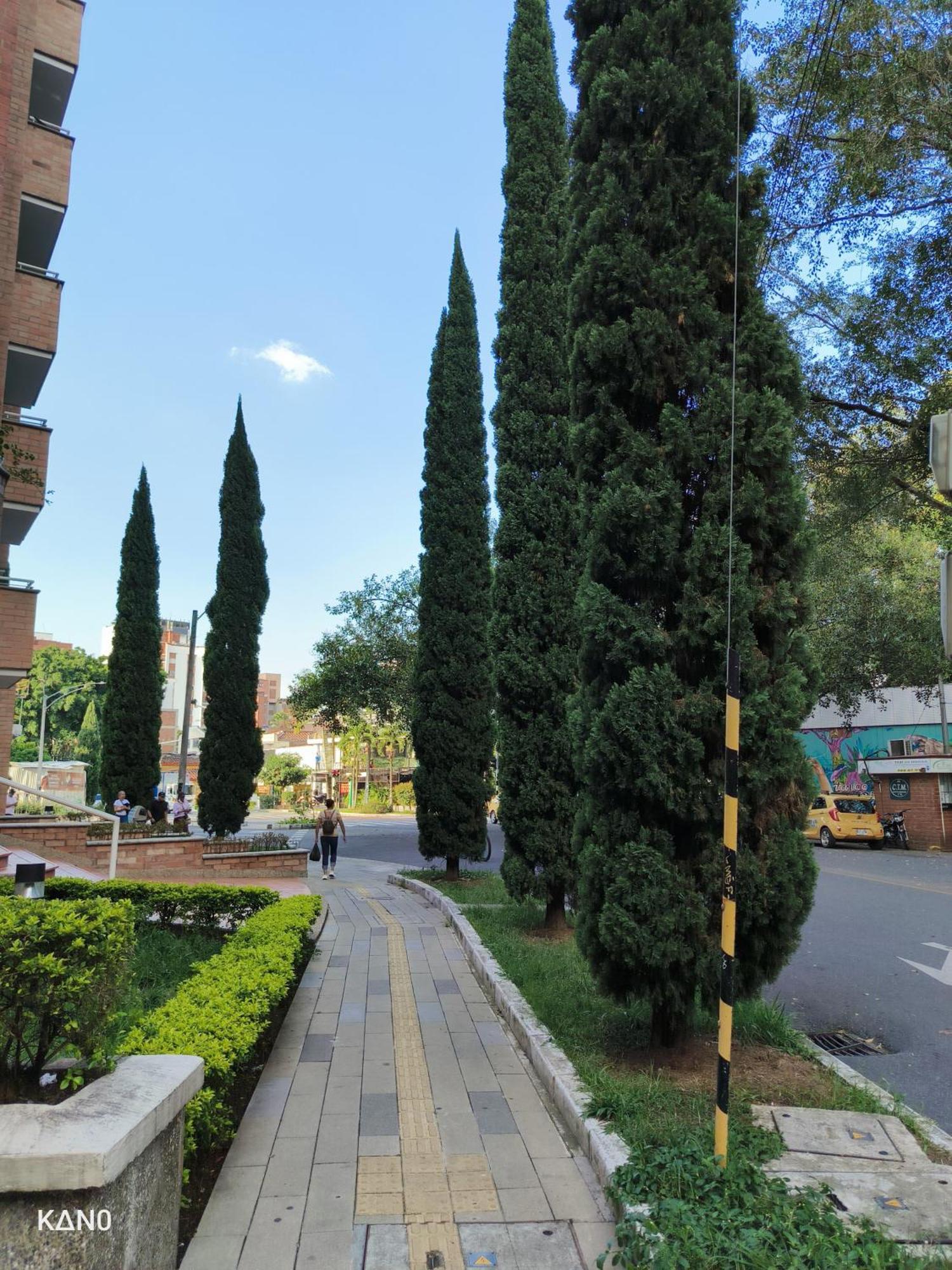 Kasa Cactus Laureles, 4*