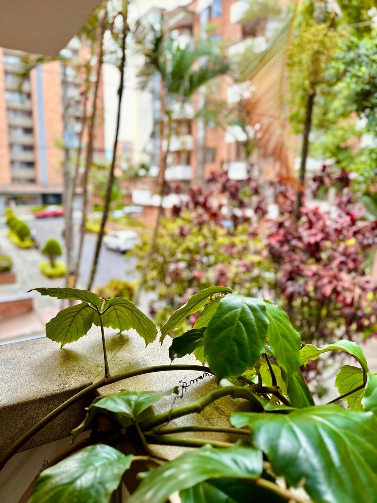 Fiorentina Boutique Aparthotel