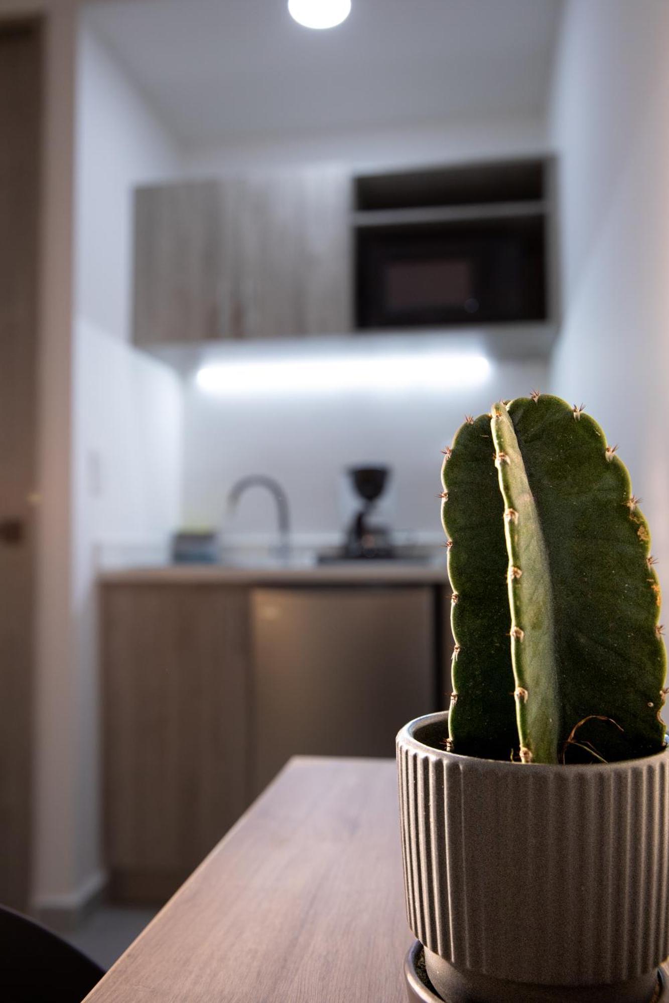Kasa Cactus Laureles, 4*
