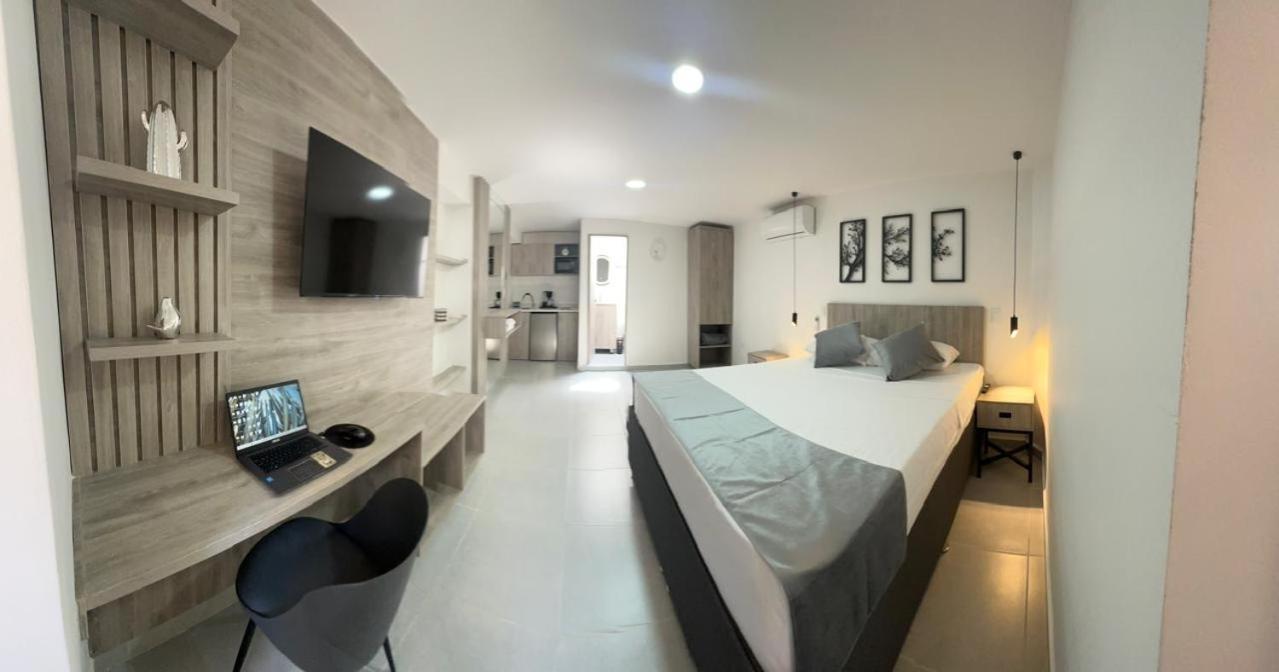 Kasa Cactus Laureles, 4*