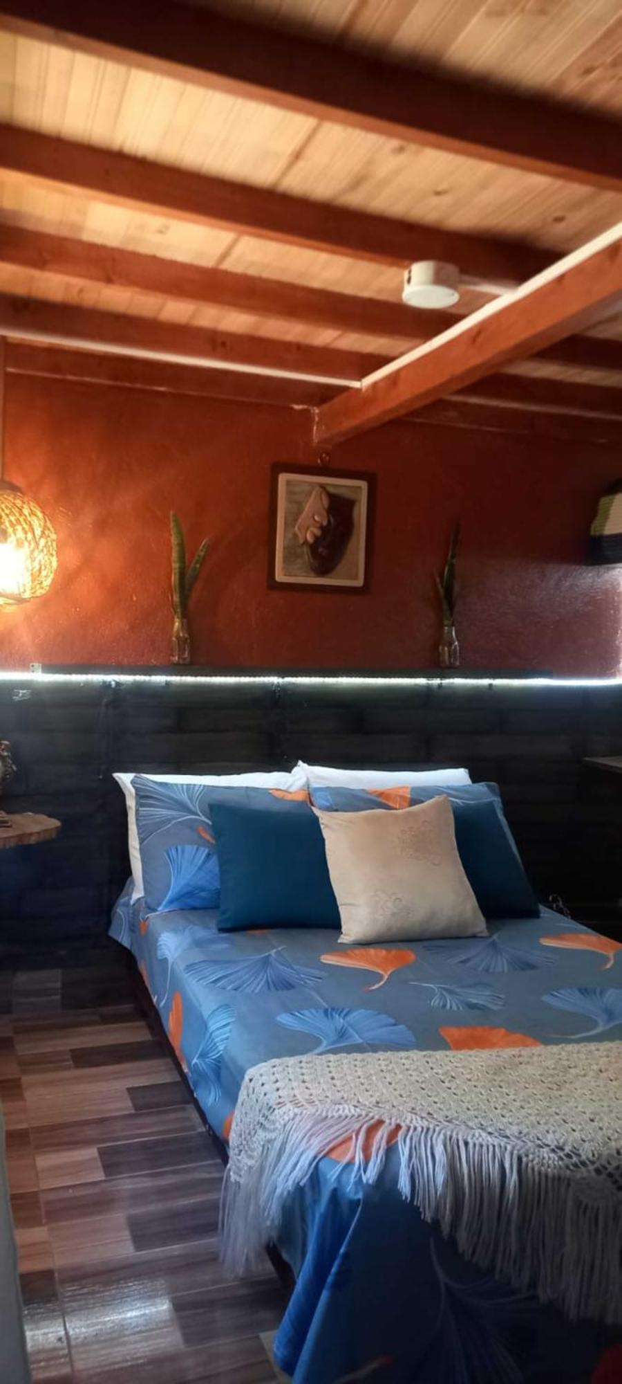 Boresta House -santa Elena Con Vista Al Bosque Y Terraza Privada Apartamento *