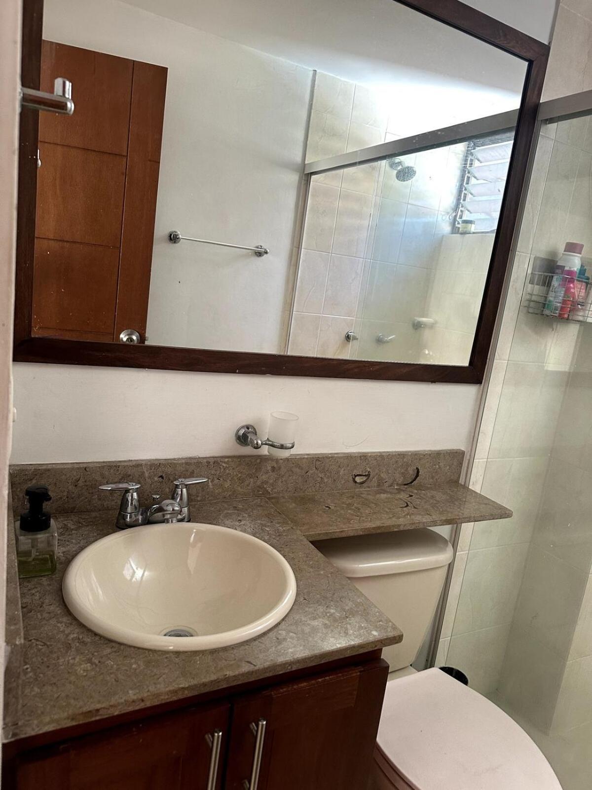 1bdr Rented In Apartamento