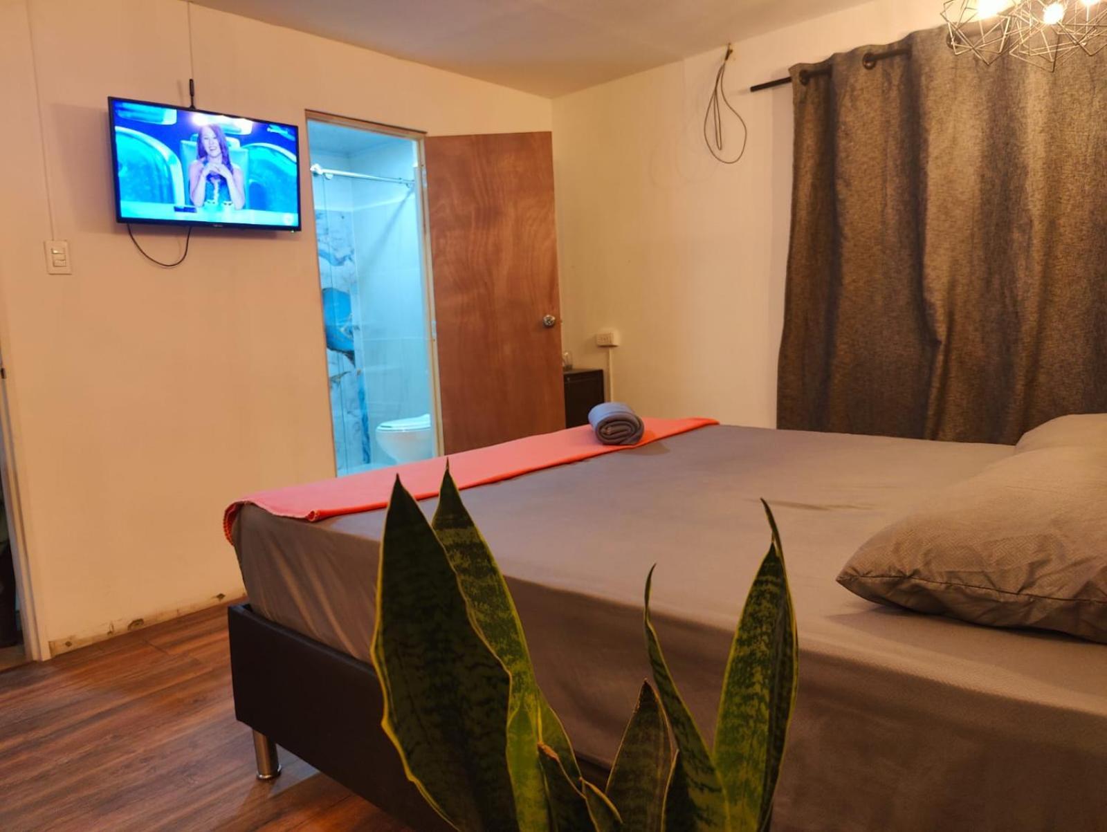 Hotel 1243 Living Medellín