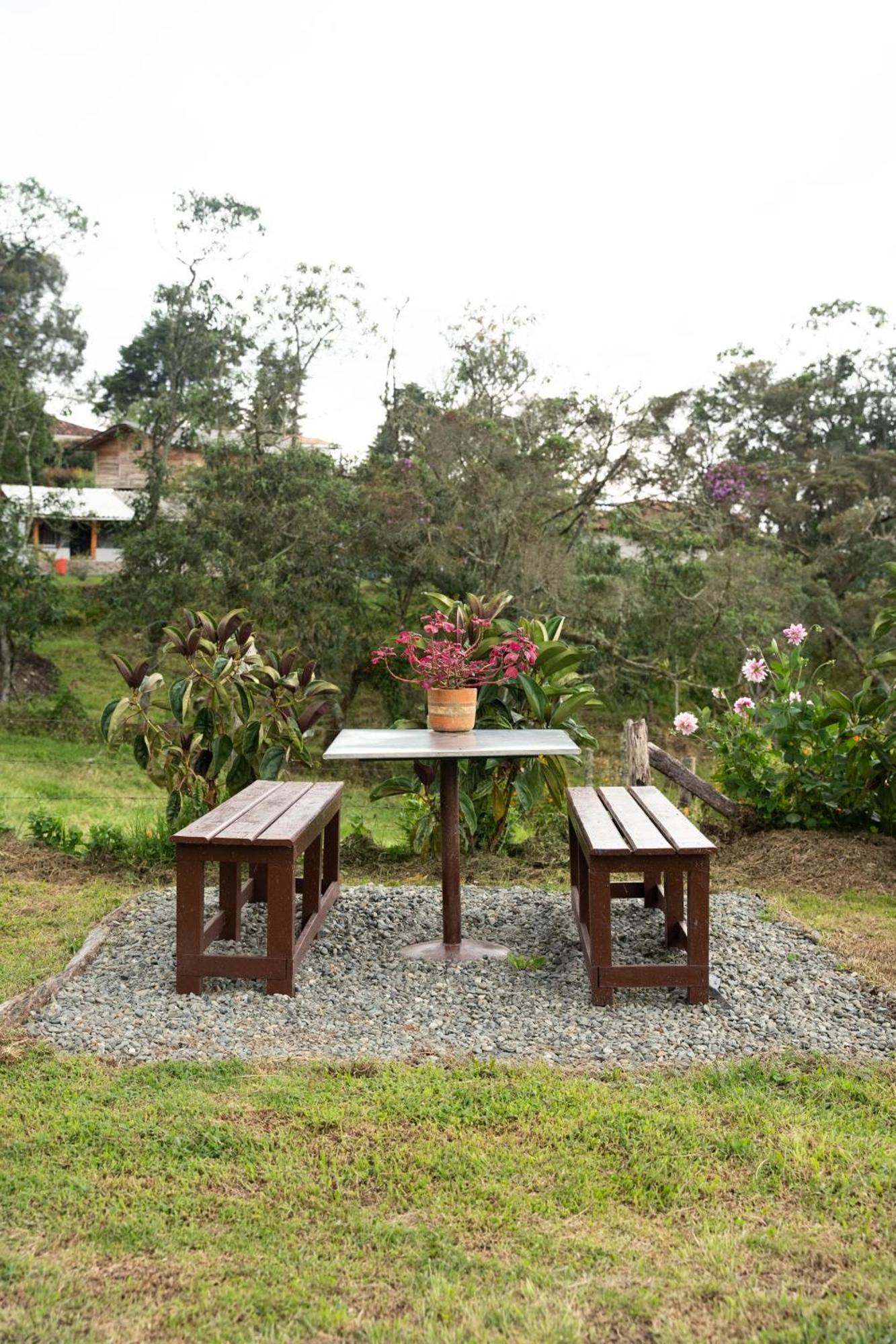 Casa Profunda - Santa Elena *