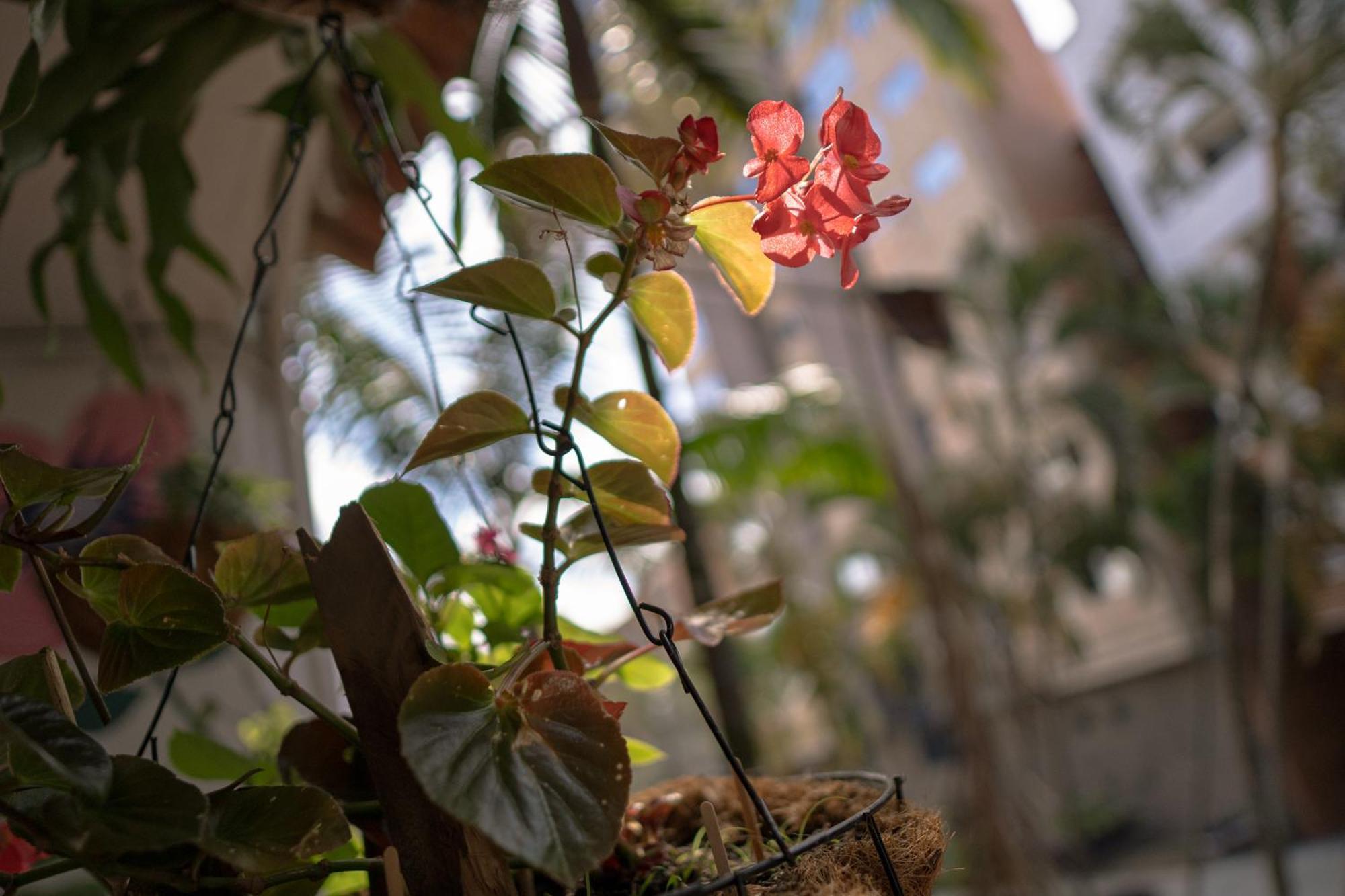 Pensión Laureles Garden *
