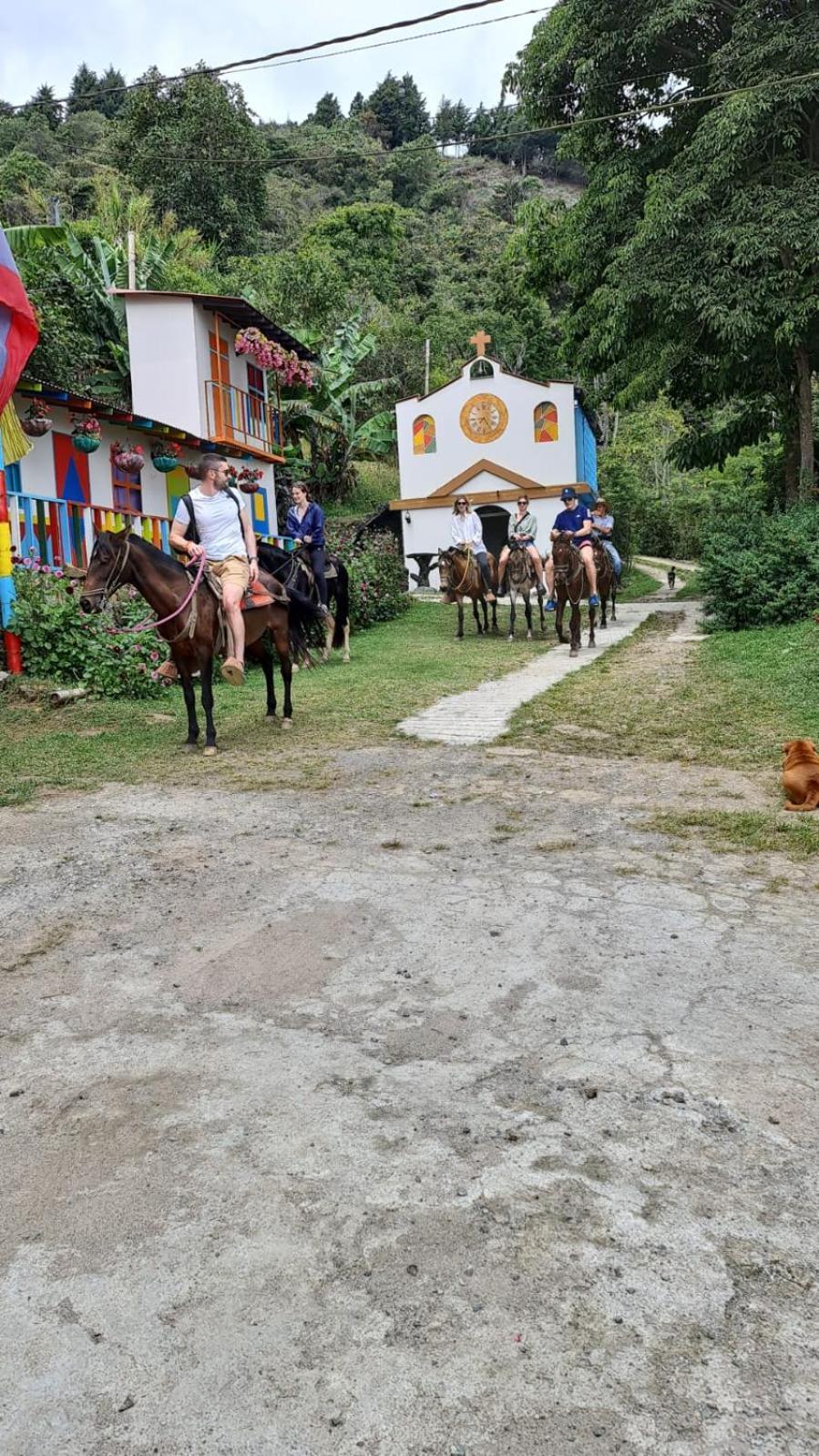 Glamping & Coffee Tour Campo de lujo Medellín
