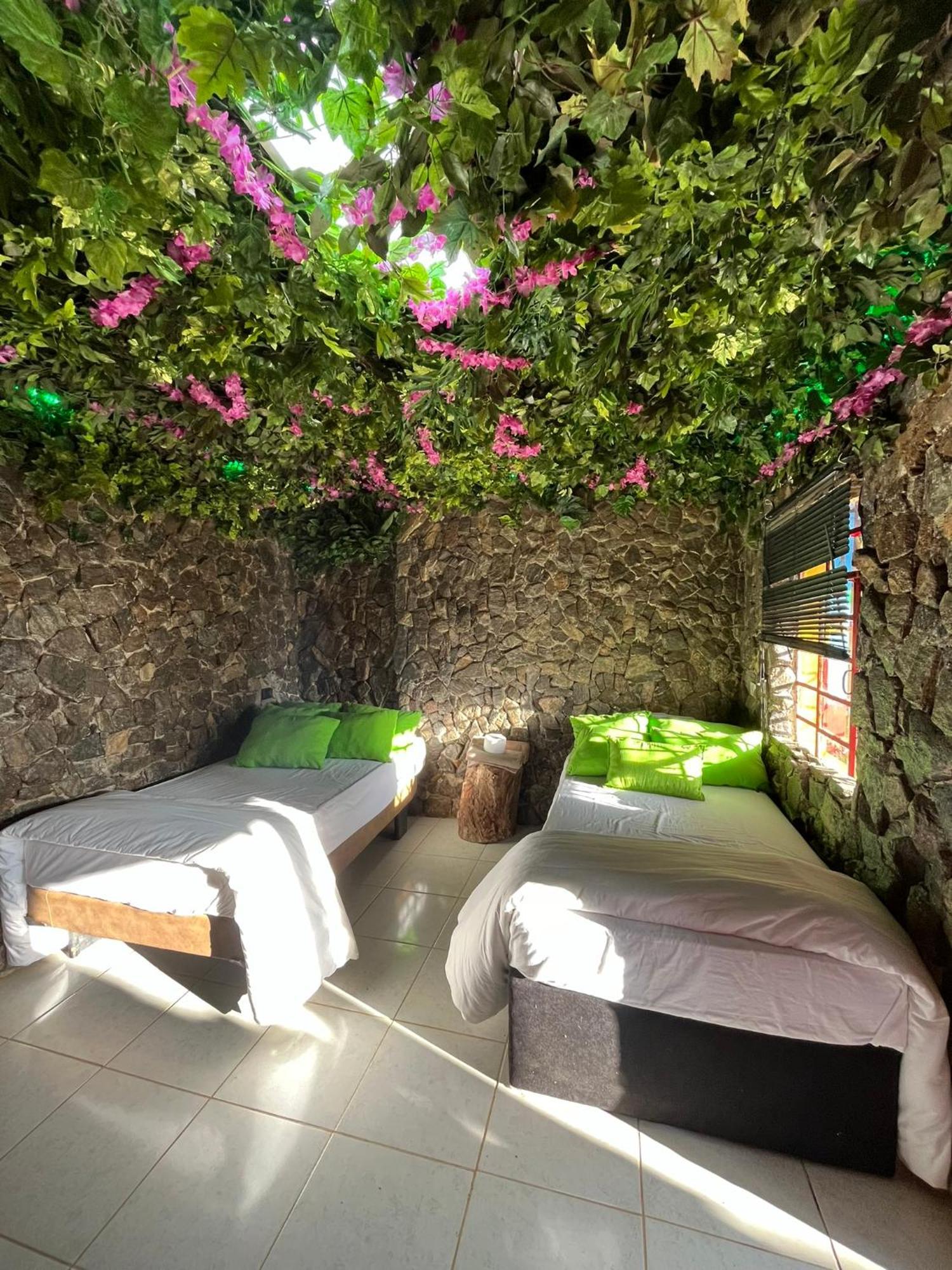 Campo de lujo Glamping & Coffee Tour