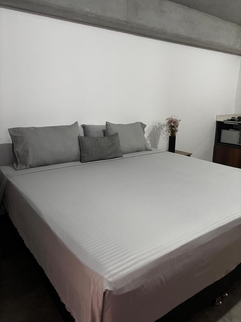 Encantador Loft Urbano En El Corazon De Medellin