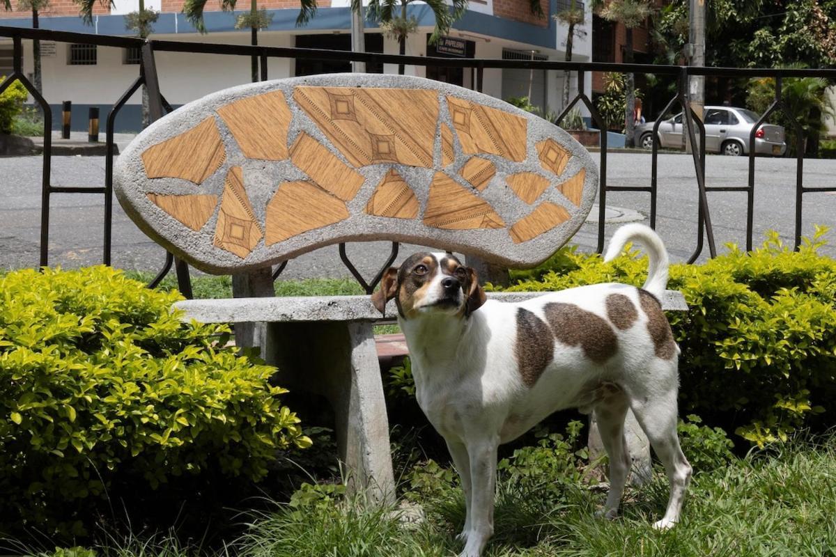 Сasa de vacaciones Casa Amplia Y Acogedora En El Corazon De Laureles *