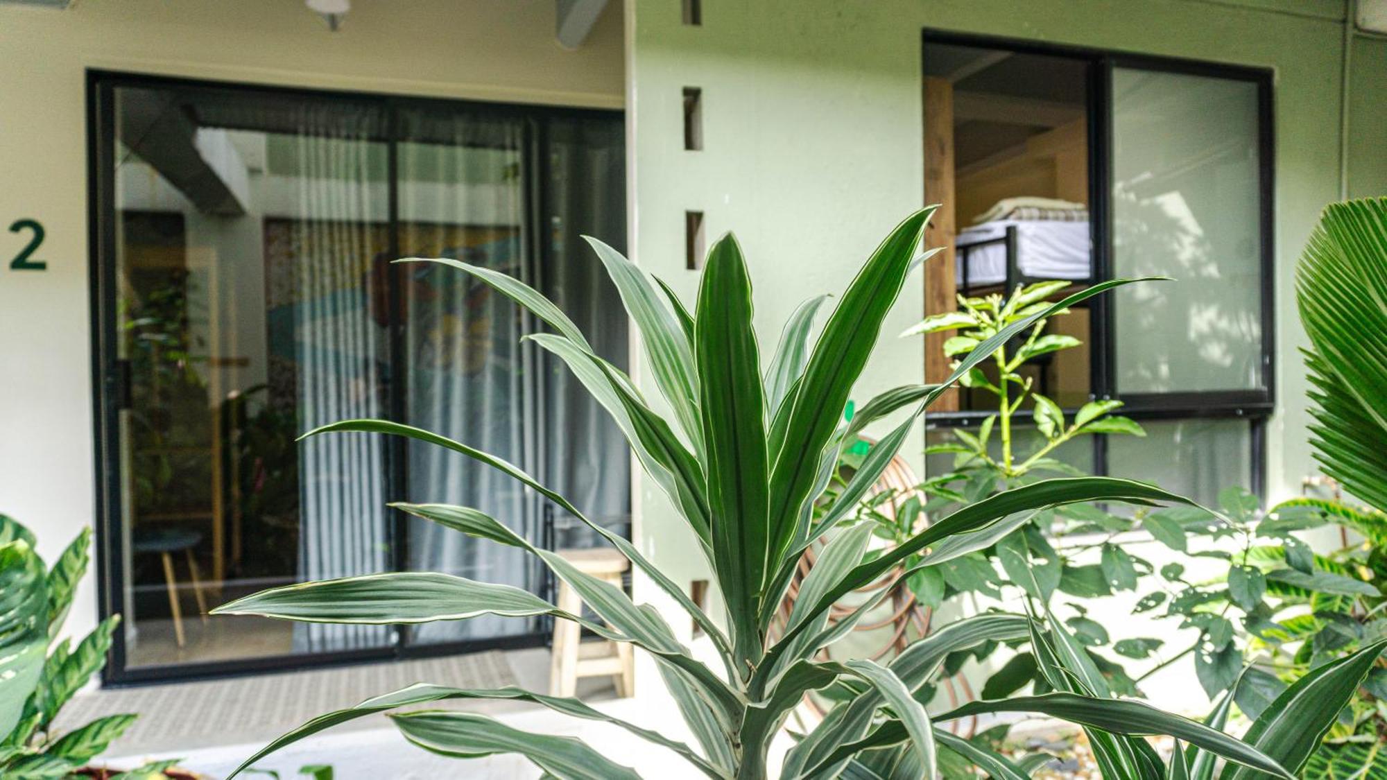 Selva House Bed and breakfast *