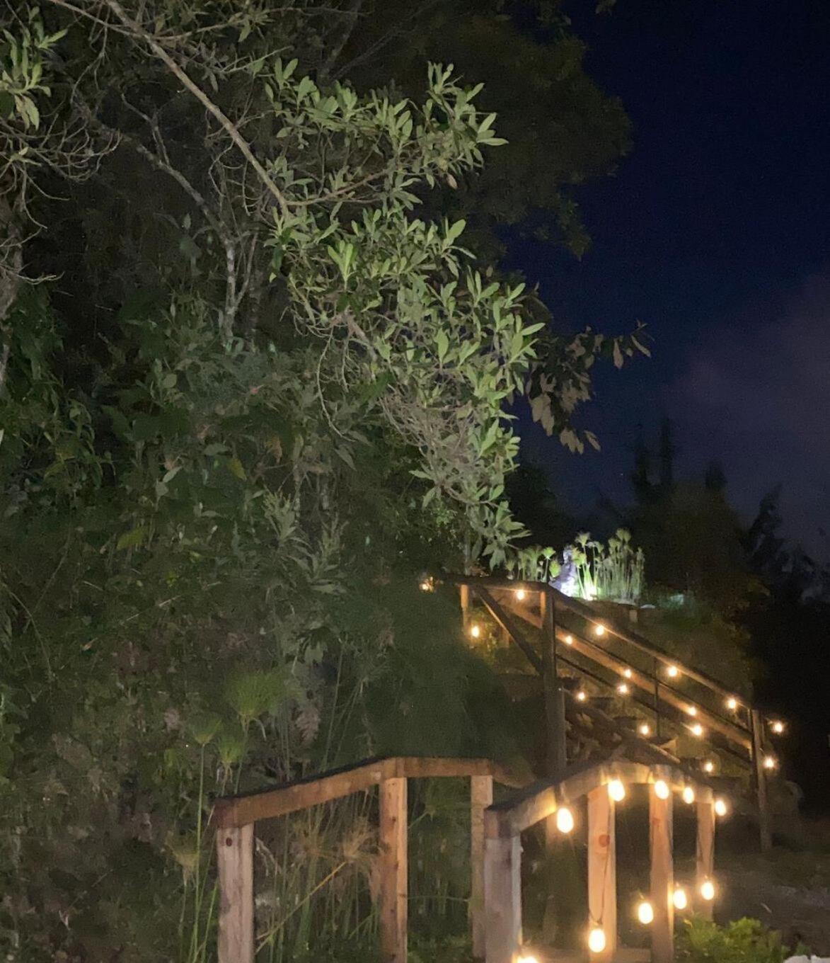 Chalet Lambrusco - La Cava *