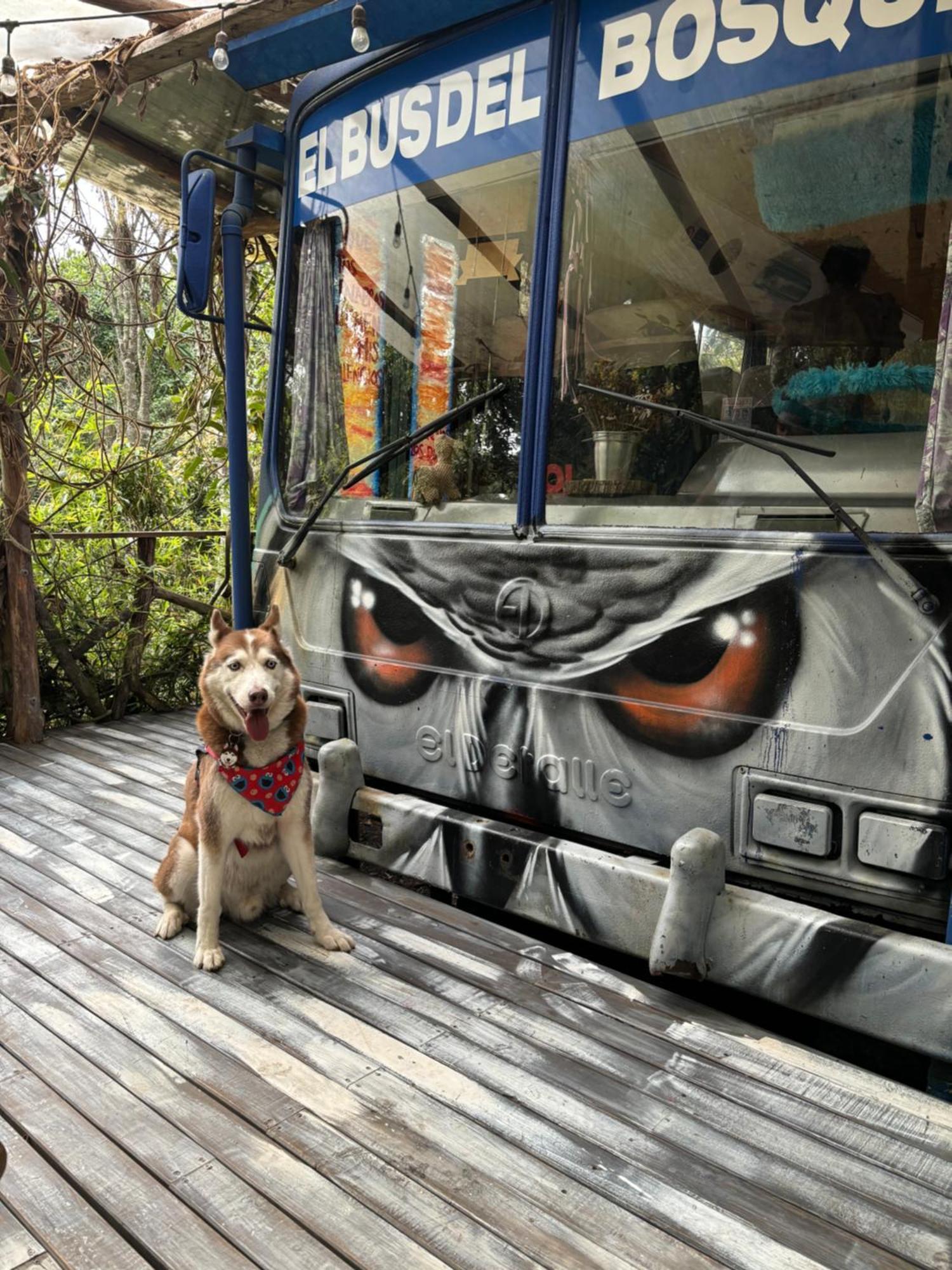 Camping El Bus Del Bosque *