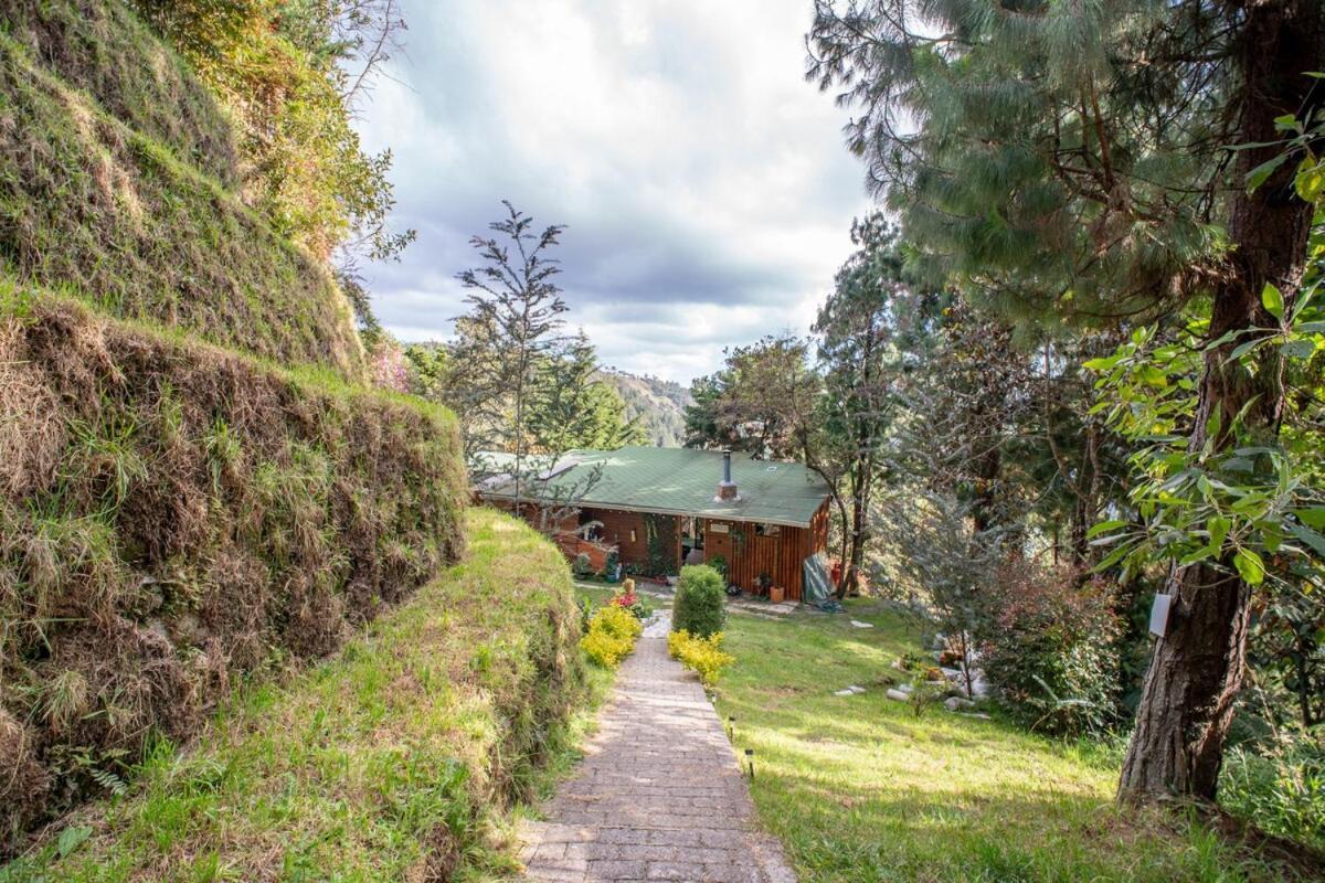 Con Jacuzzi, Masaje En Sitio Opcional Y Chimenea Romantica-santa Elena Chalet
