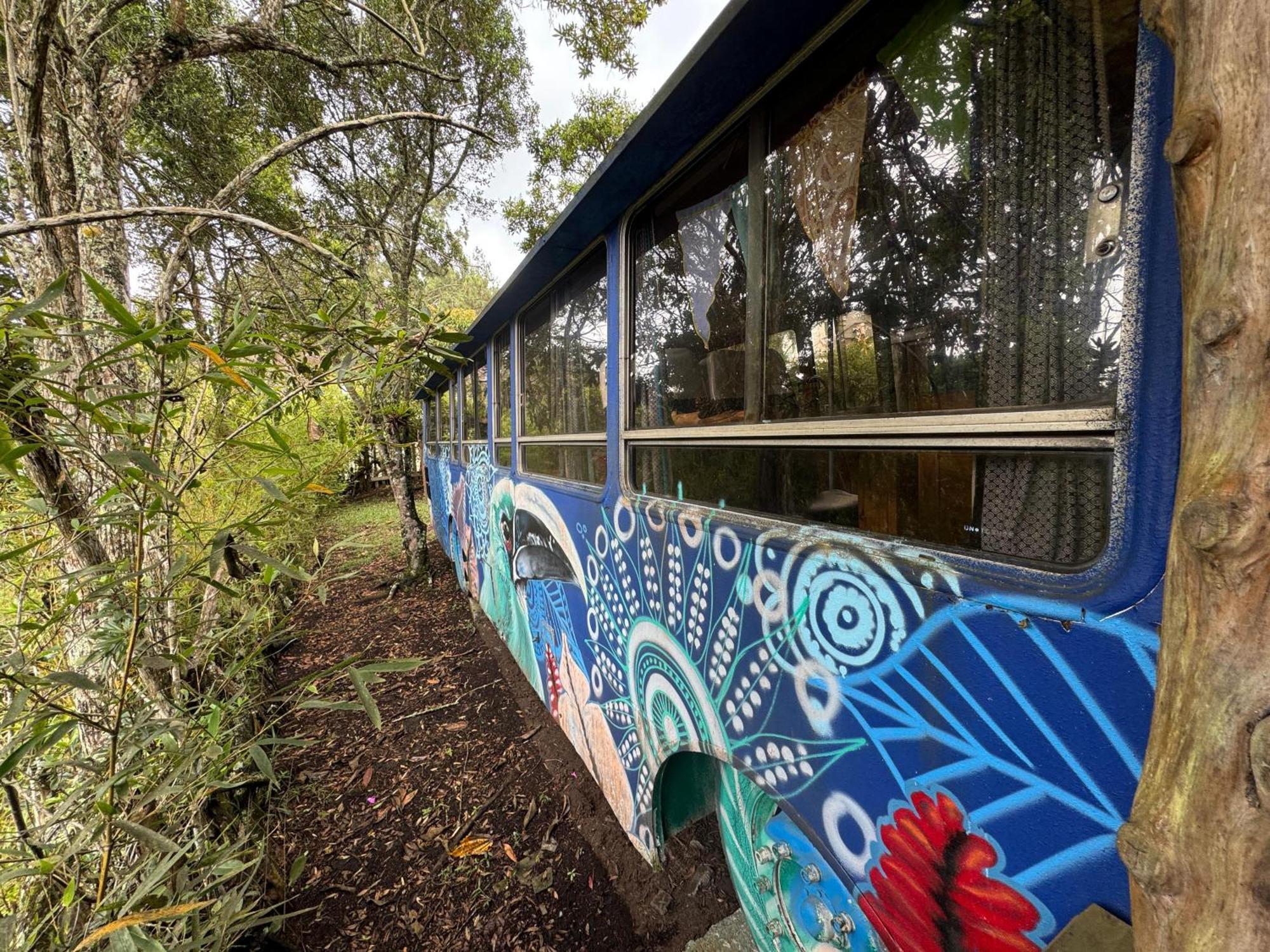 El Bus Del Bosque