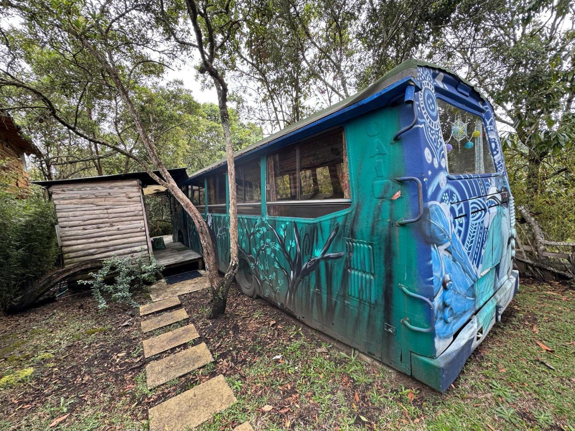 El Bus Del Bosque Medellín