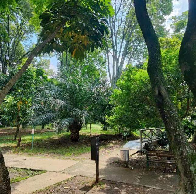 Jungle House *