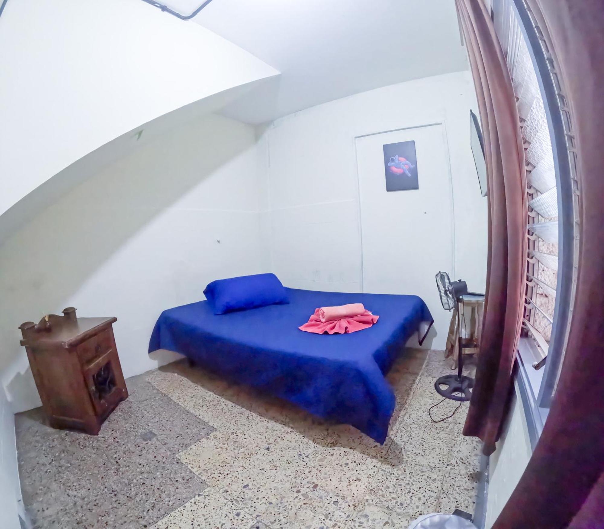Canela * Medellín