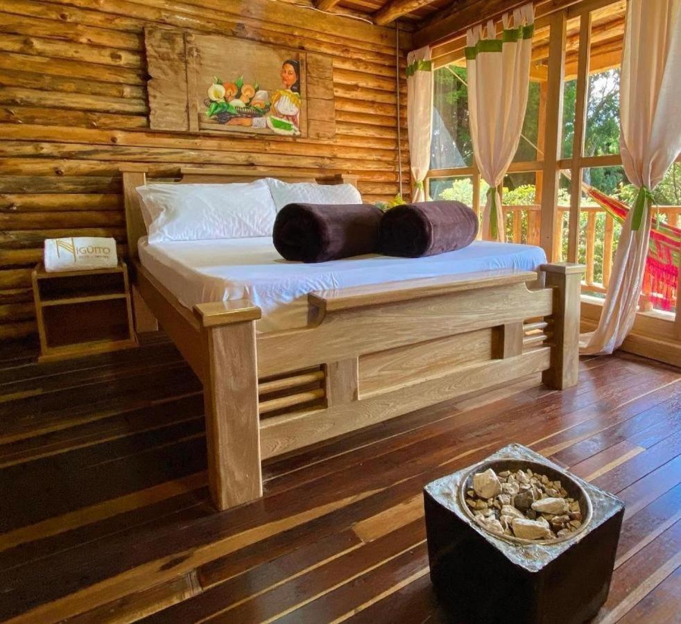 Eco Nigueito Medellín