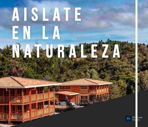 Eco Nigueito * Medellín