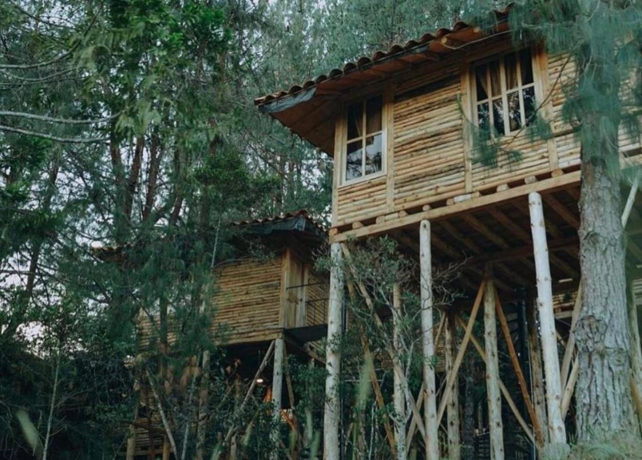 Eco Nigueito Medellín