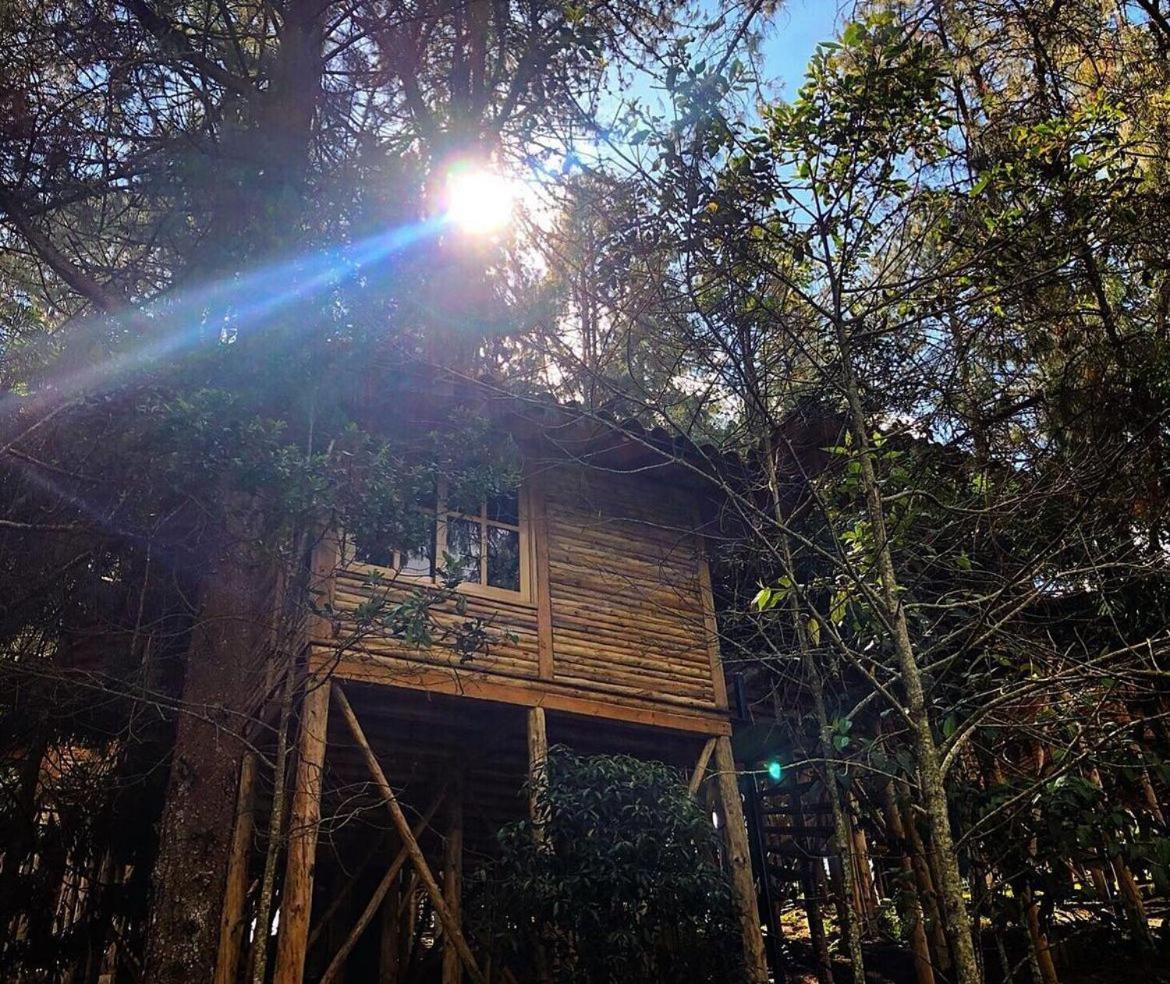 Eco Nigueito Camping