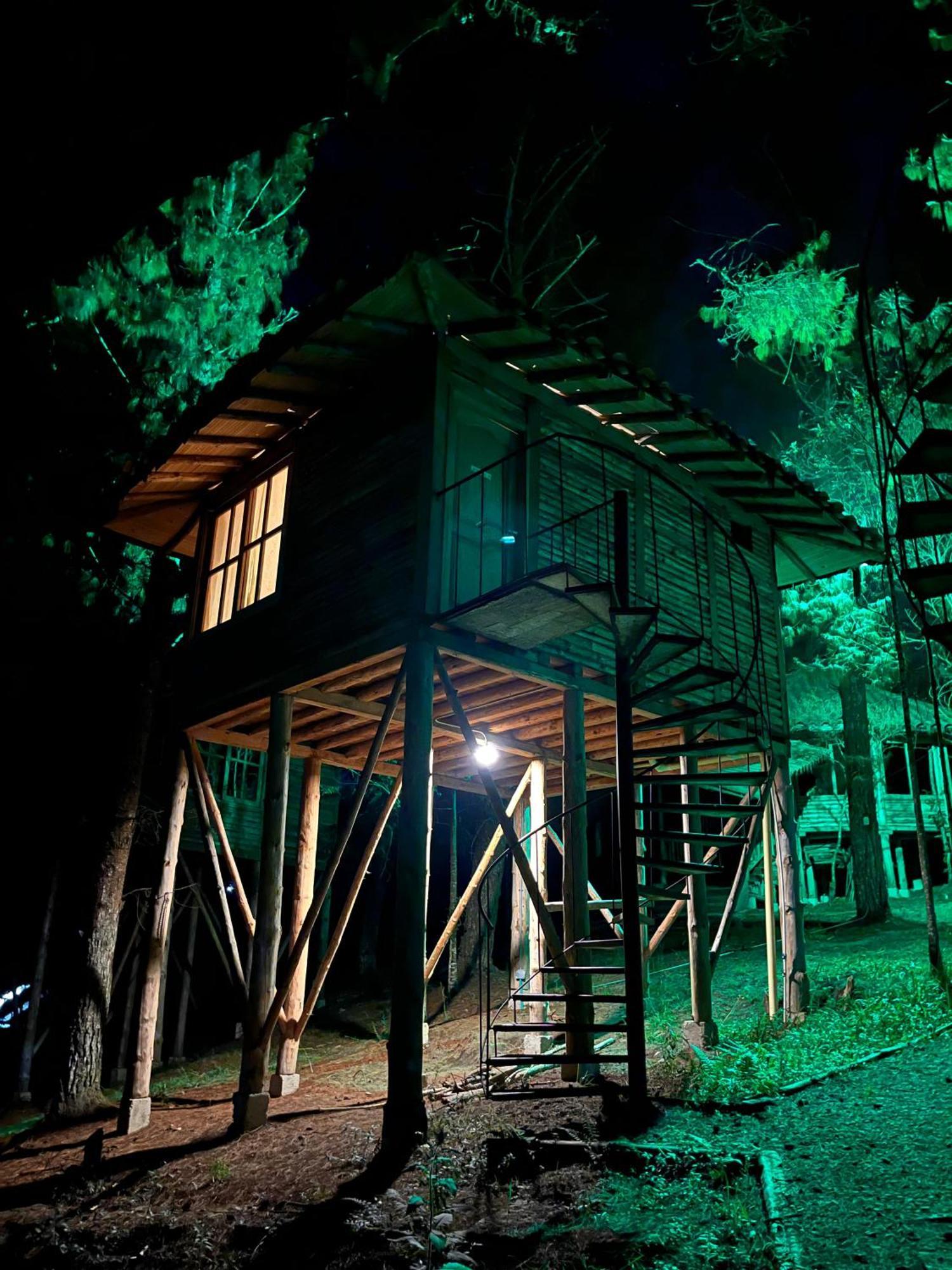 Eco Nigueito Camping