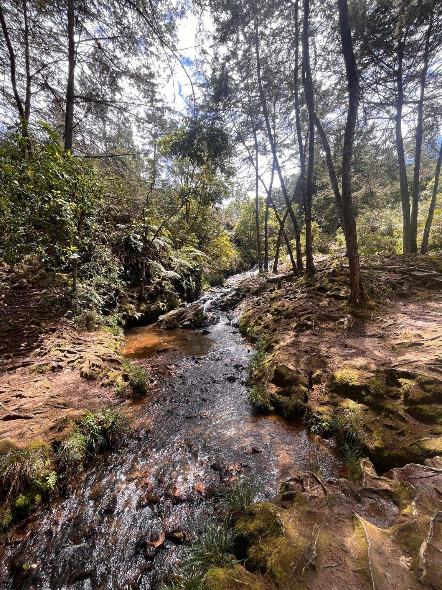 Camping Eco Nigueito Medellín