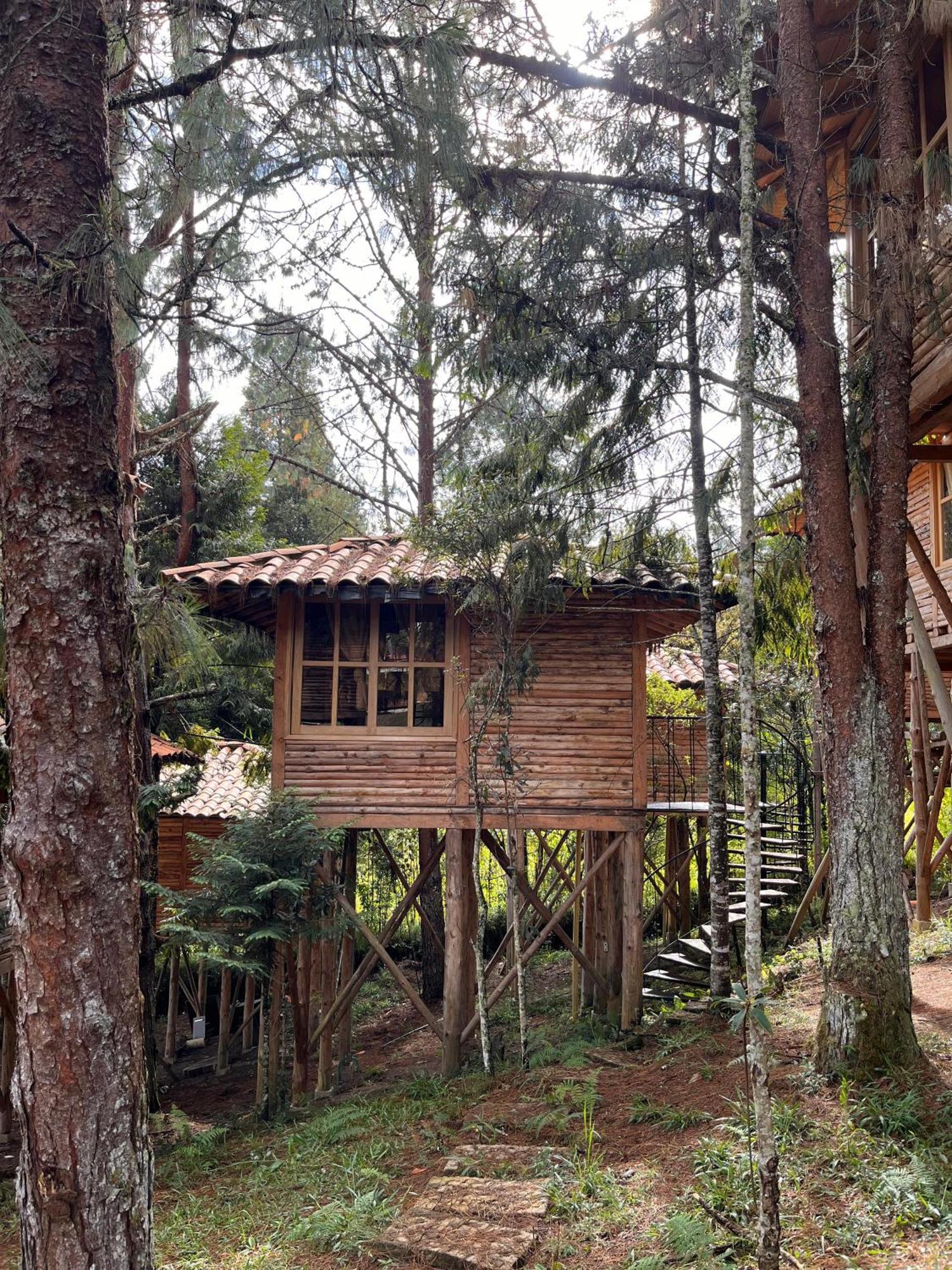 Eco Nigueito Camping Medellín