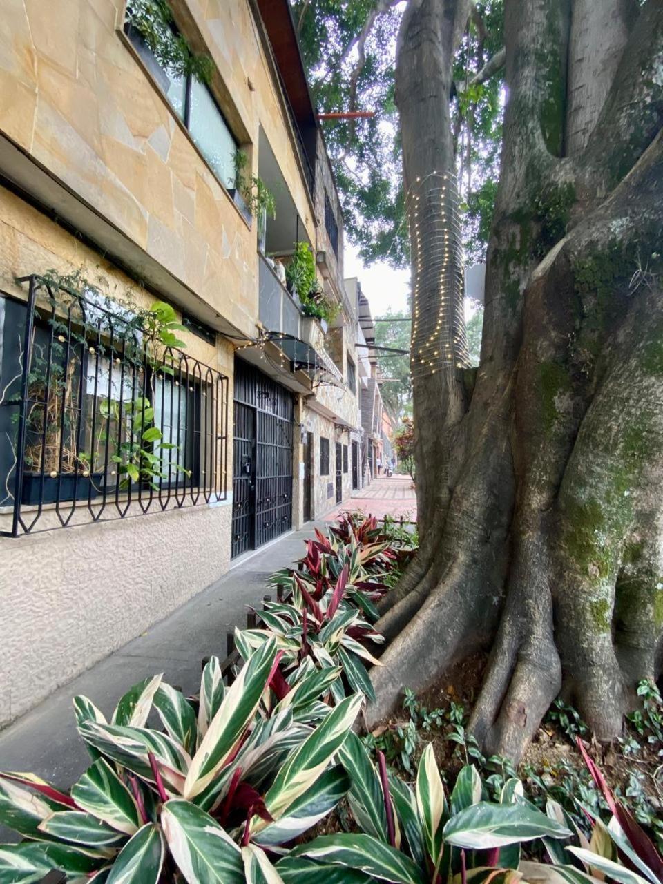 Apartamento Acogedor Y Comodo Estadio Laureles