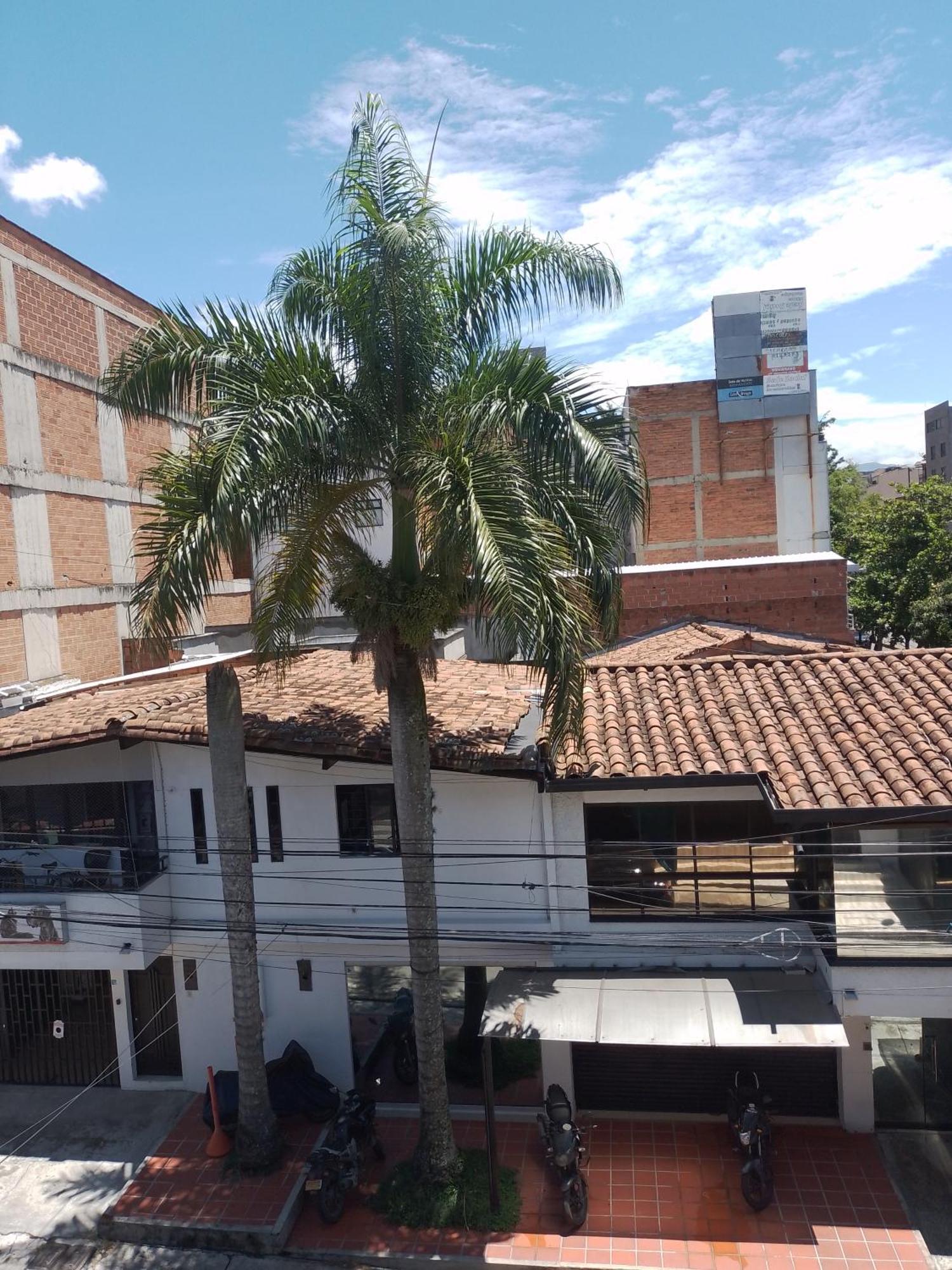 Zona Laureles Apartamento *