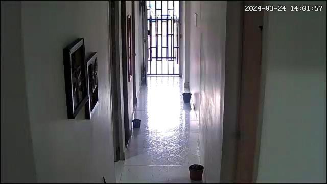Campo Pensión *