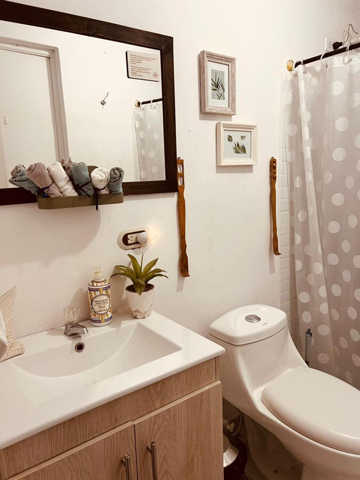Selene Coworking Cafe Bed and breakfast *