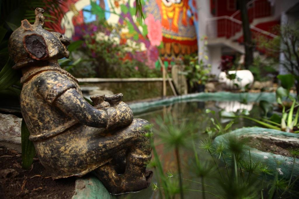Buddha * Medellín