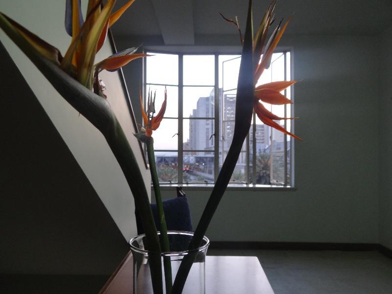 Nutibara 3* Medellín