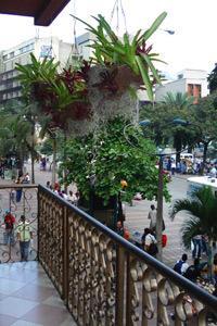 Hotel Internacional 3*