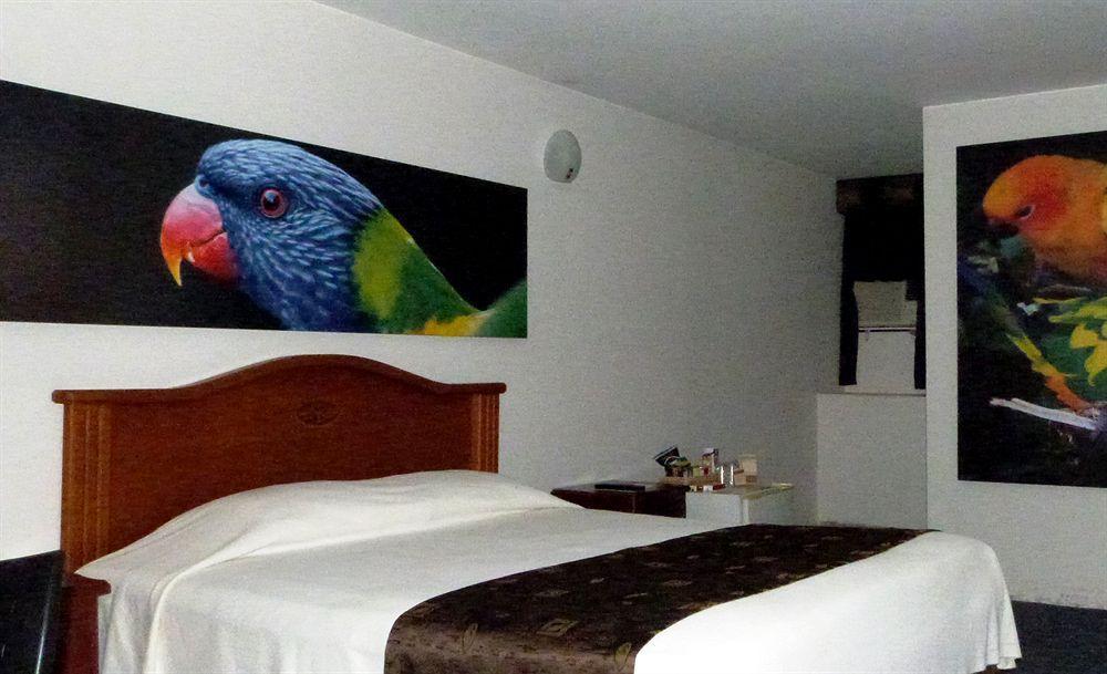 Hotel Plaza Rosa Medellín