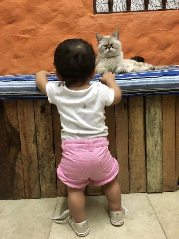 Mila * Medellín