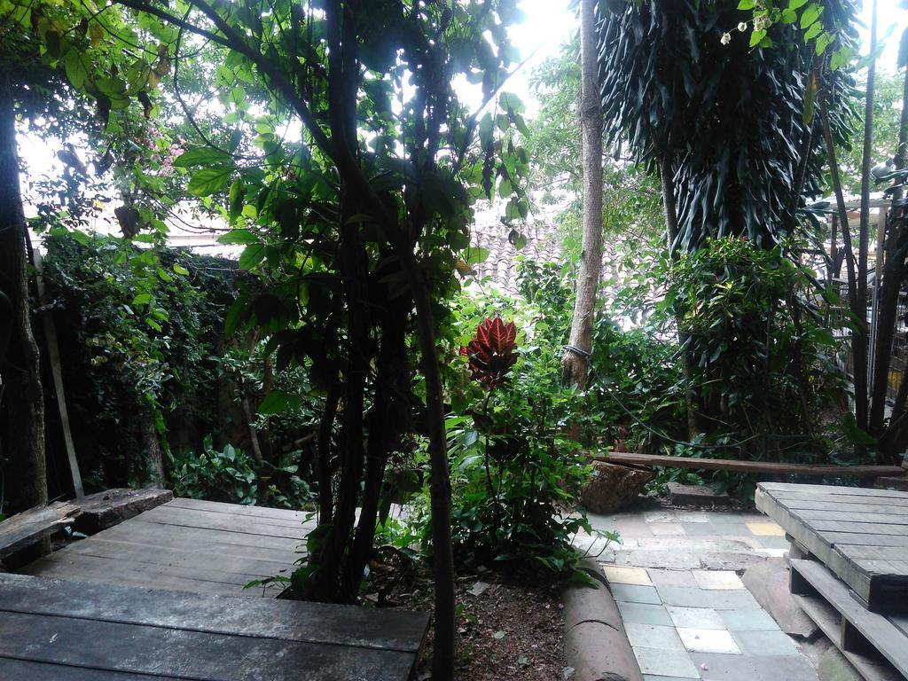 Casa De La Luna Medellín