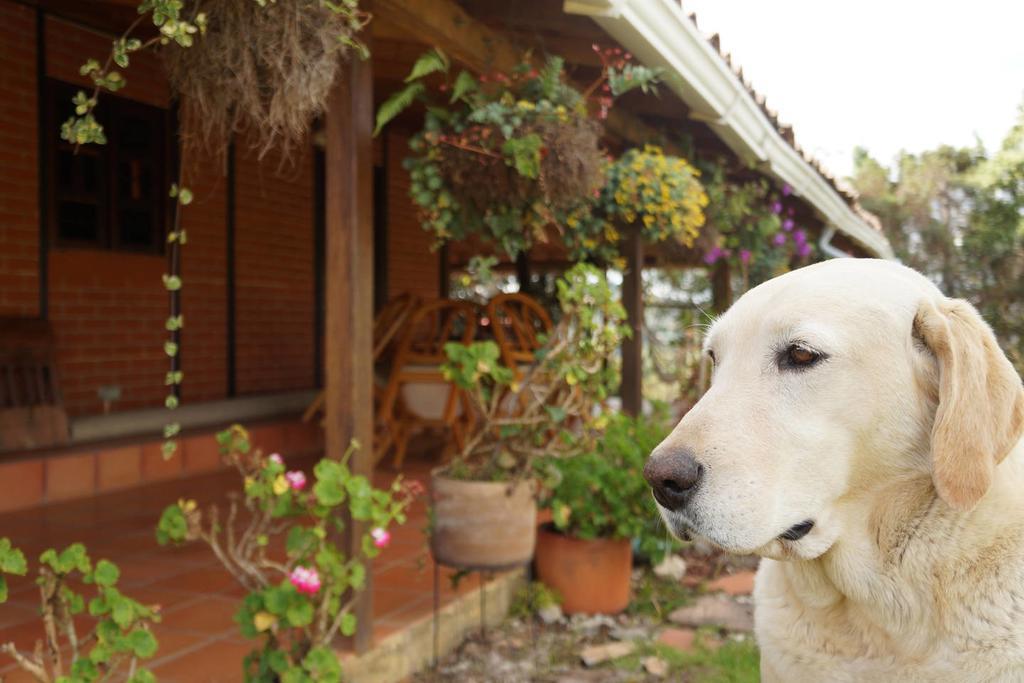 Lodge Rural Misia Emilia