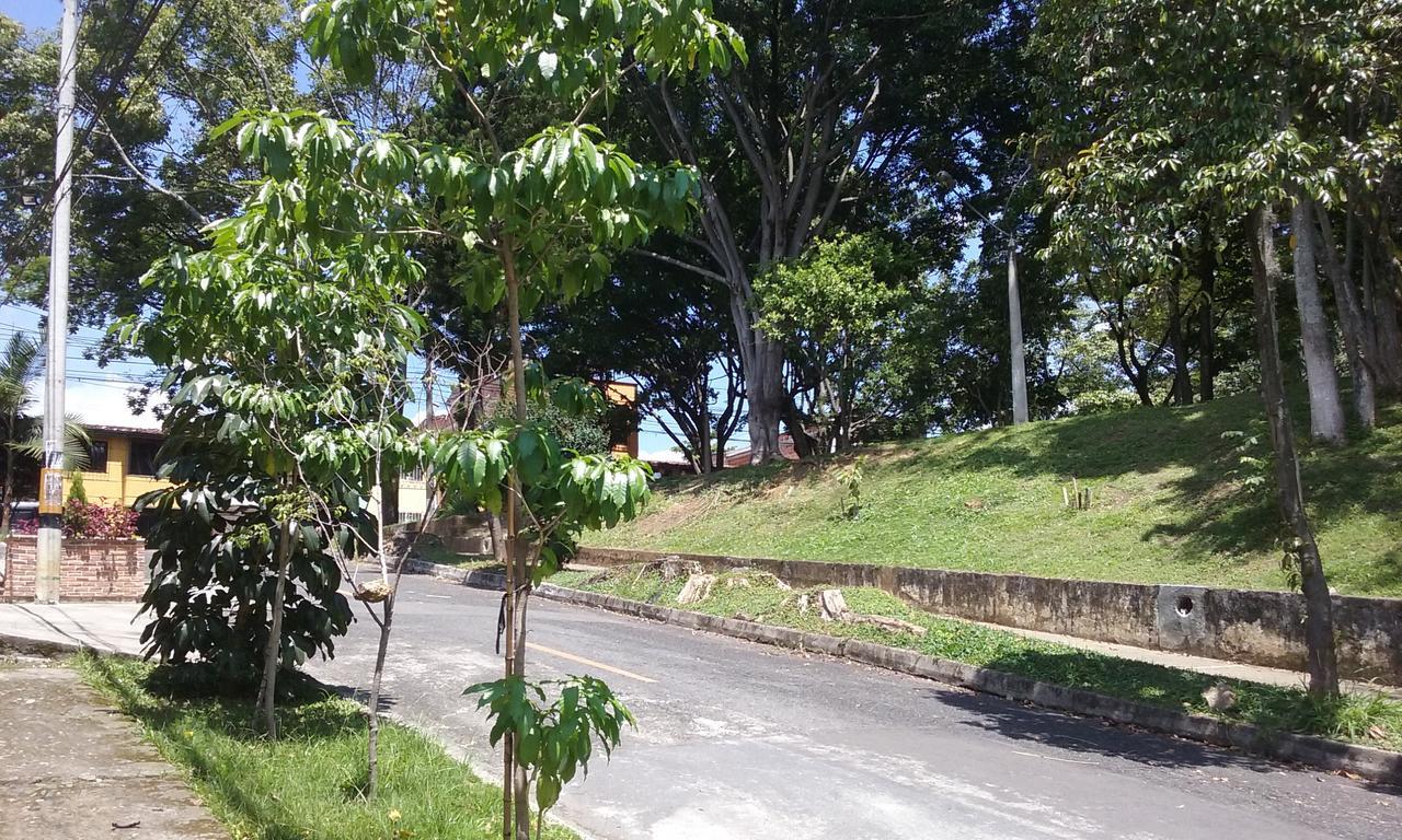 Mayorca * Medellin