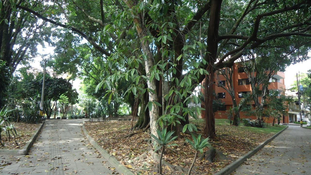 Iris Hostel *